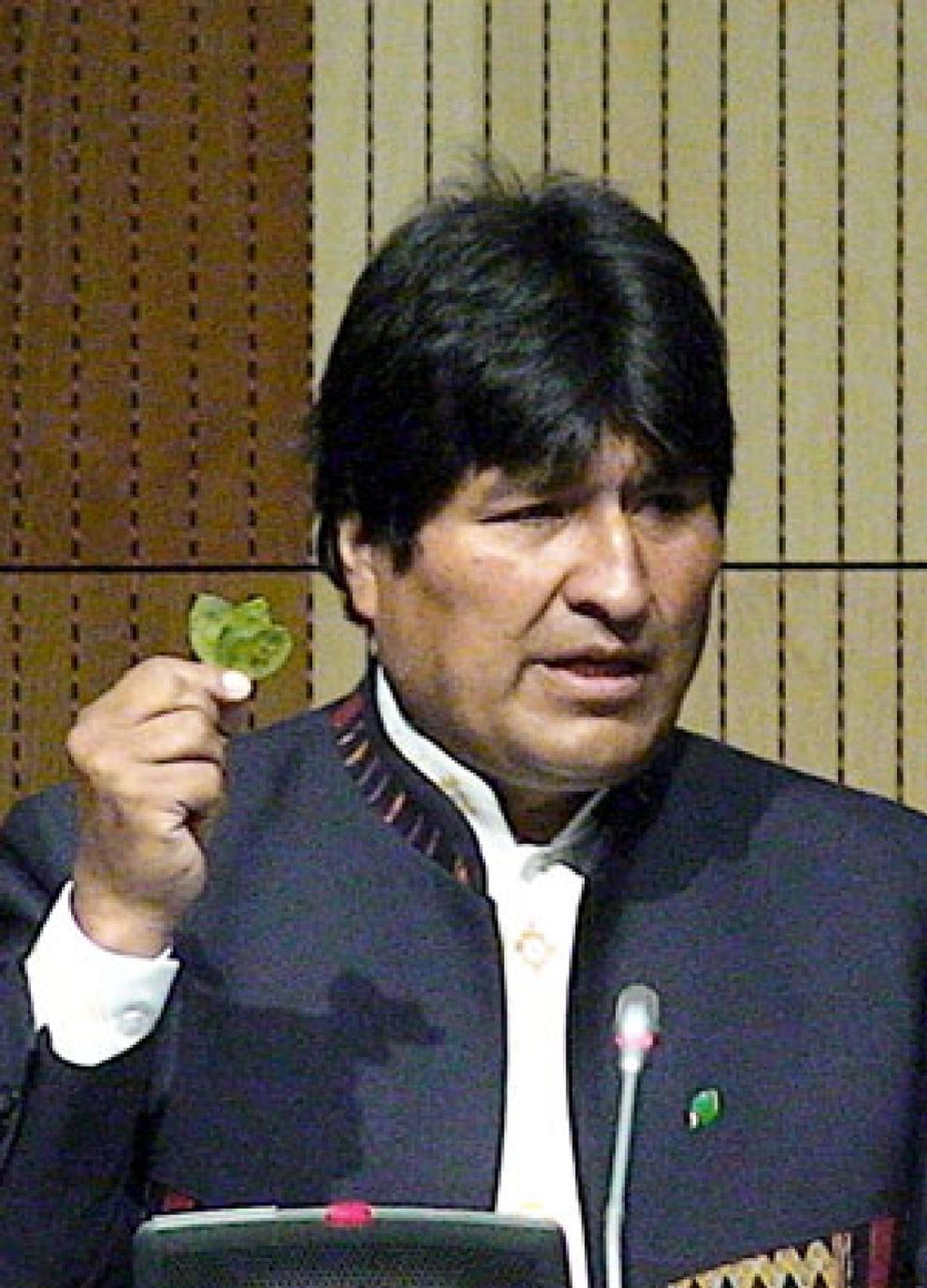 Foto: Evo Morales solicita despenalizar la coca y mastica una hoja ante la ONU