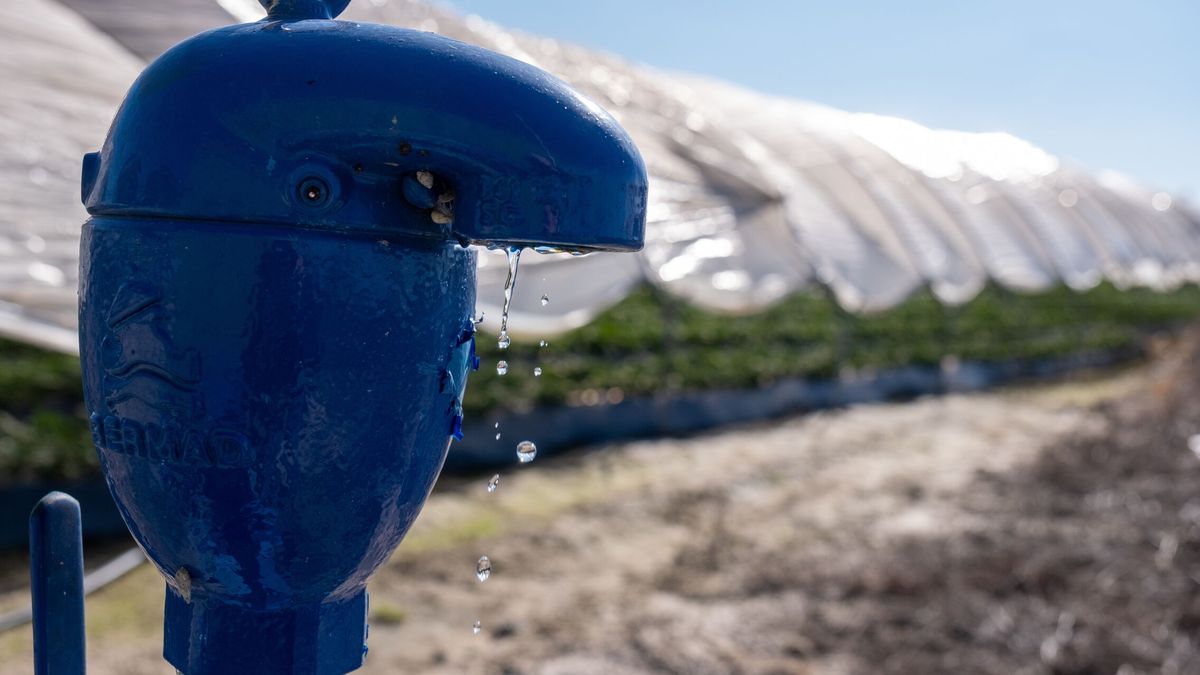 El sistema que quiere revolucionar el riego en previsión de más y más sequías