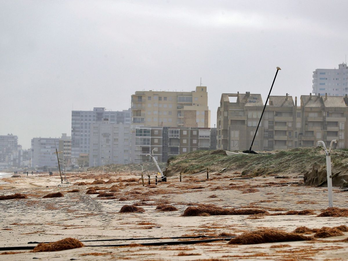 Foto: Continúan los trabajos para recuperar las playas afectadas por el paso de la borrasca Gloria. (EFE)