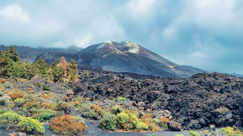 De la tragedia al turismo: cómo la erupción del volcán ha cambiado los viajes a La Palma