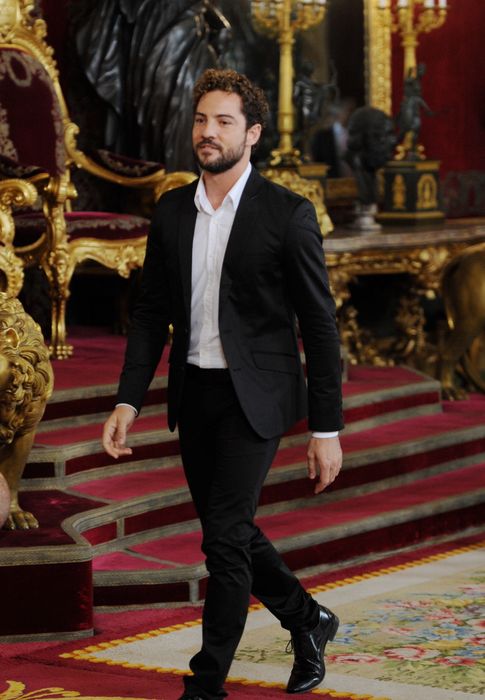 Foto: El cantante David Bisbal en el besamanos de palacio por la proclamación de Felipe VI (Gtres)