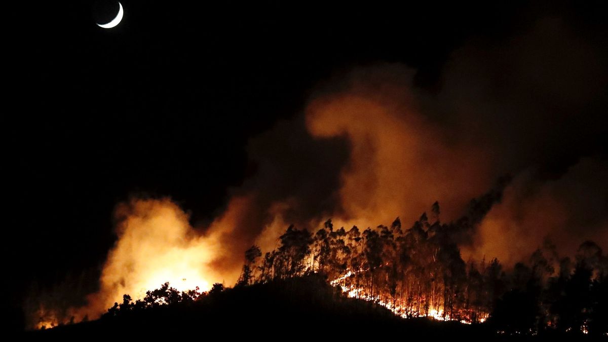 Estabilizado el incendio en en la sierra de Sorella (Asturias)