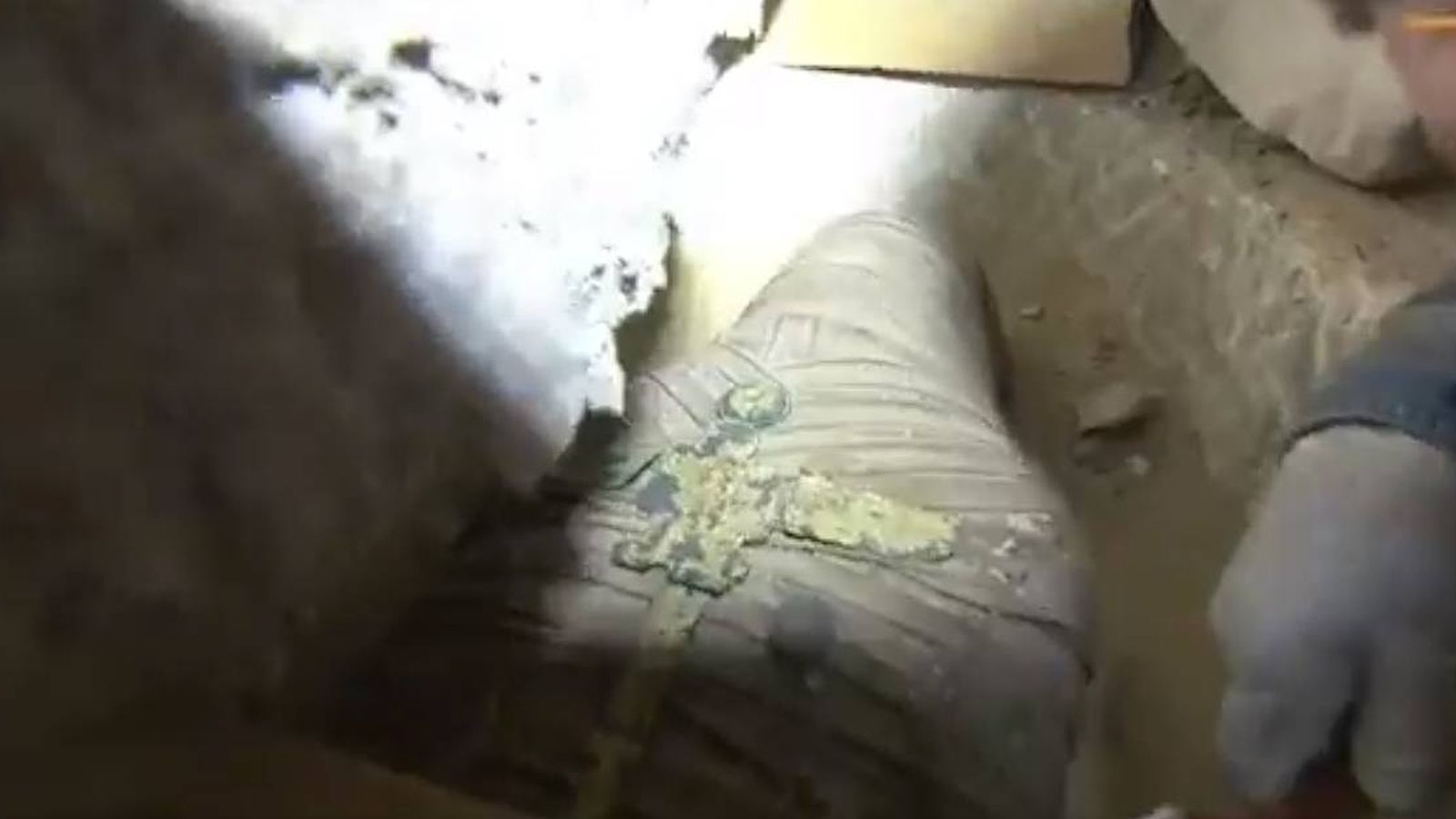 Foto: Imagen del momento en el que se encuentra la momia dentro del sarcófago. (CC)