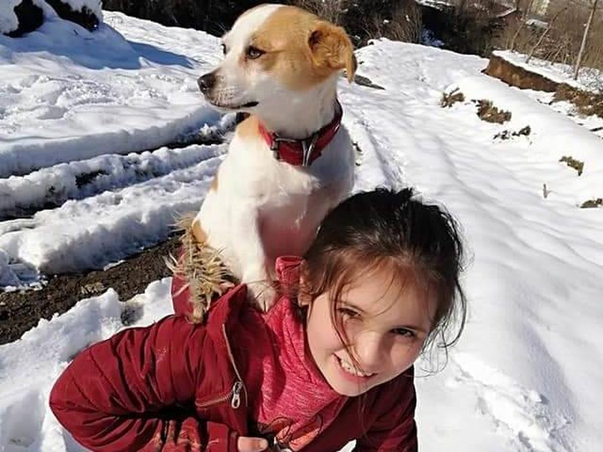 Foto: Cemre, la niña de nueve años que recorrió casi tres kilómetros para que examinaran a su mascota (Twitter)