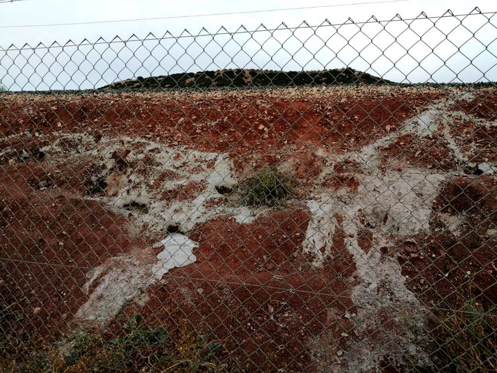 Foto: ADIF ha permitido que se sepulte a los conejos, cegando las madrigueras con cemento (Foto: Federación Andaluza de Caza)