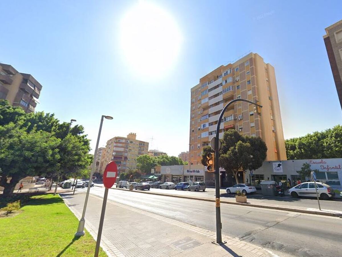 Foto: Vista de la avenida Carlos Haya de Málaga, donde ocurrieron los hechos. (Google)