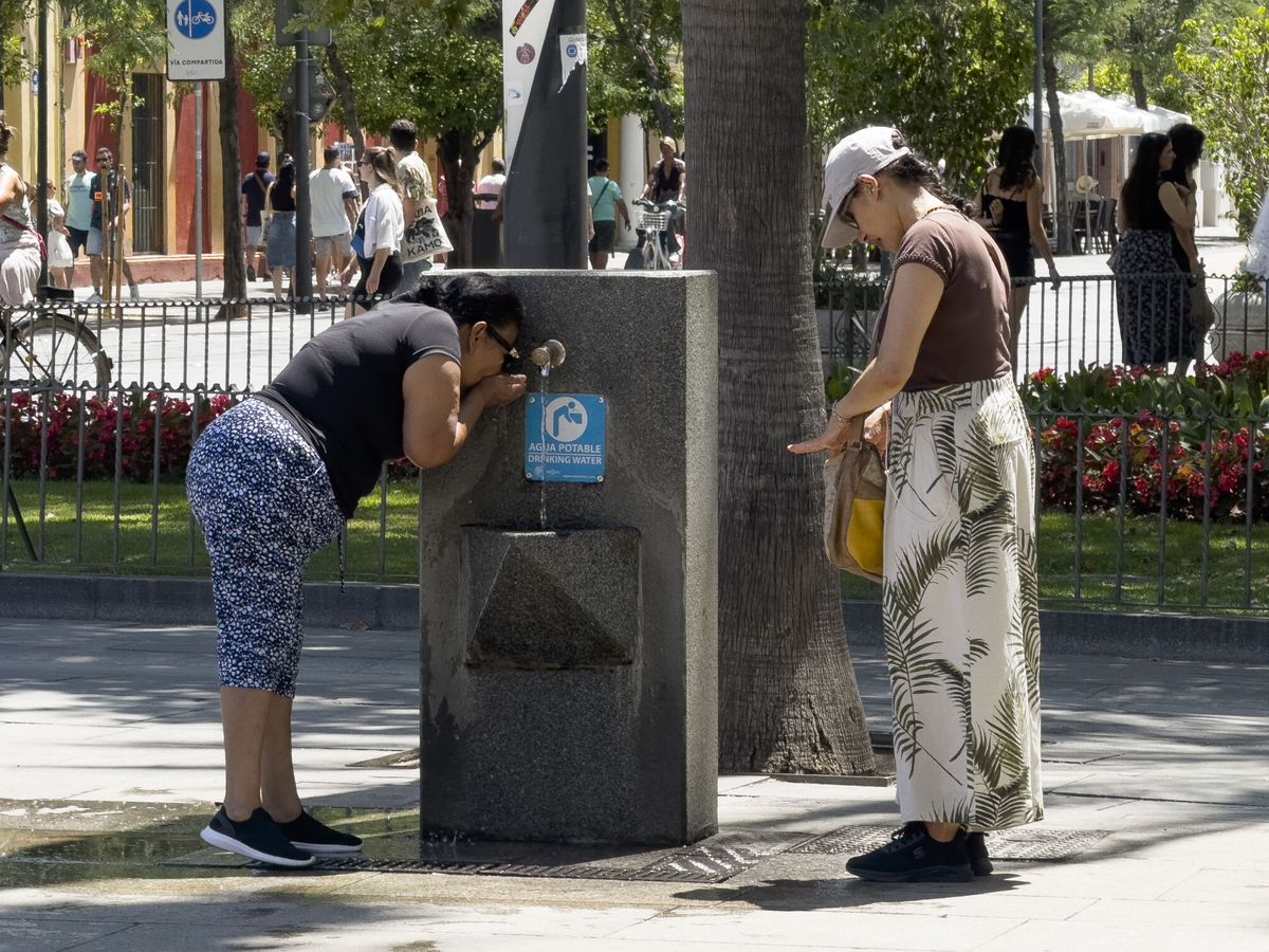 Foto: Personas bebiendo agua en Sevilla en una imagen de archivo. (EFE/David Arjona)