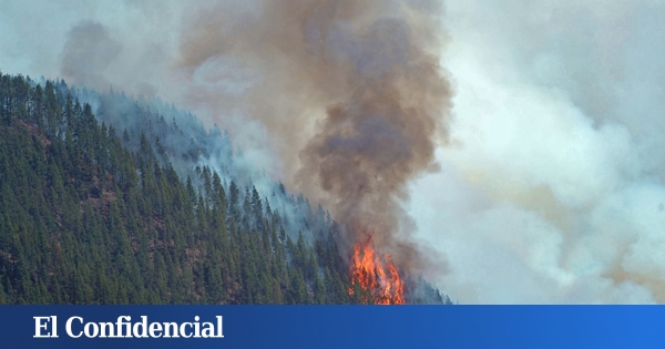 La Aemet avisa: estas son las zonas de España en riesgo muy alto o extremo de incendio