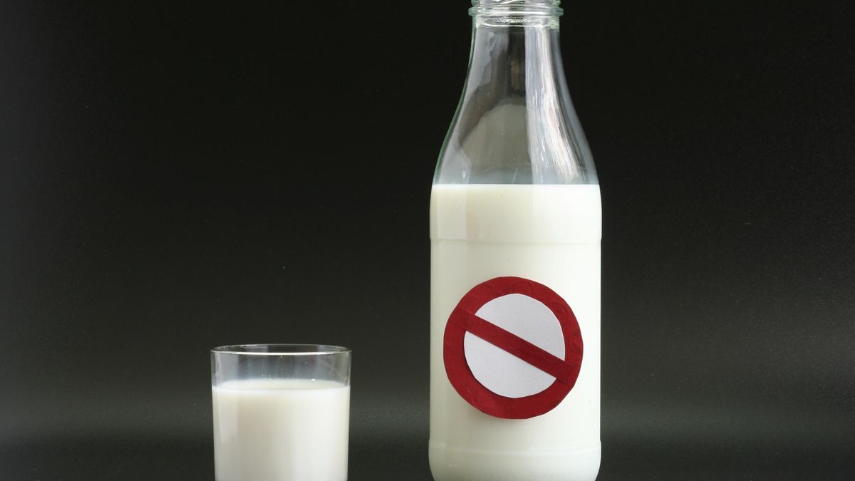 ¿La leche es mala para la salud? Cuatro mentiras que te contaron sobre ella
