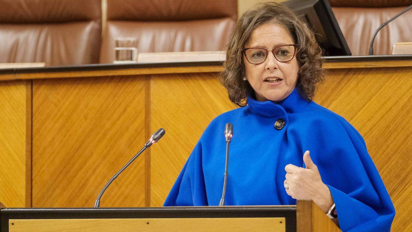 La consejera andaluza de Salud, Lina García, en el Parlamento regional. (Cedida)
