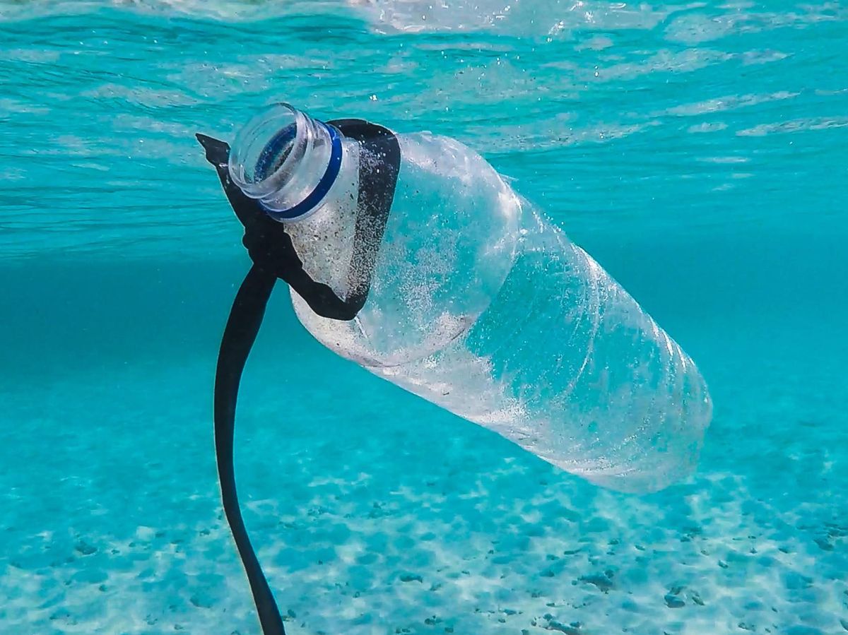 Foto: La contaminación por plásticos de un solo uso en el mar aumenta día a día. Unsplash