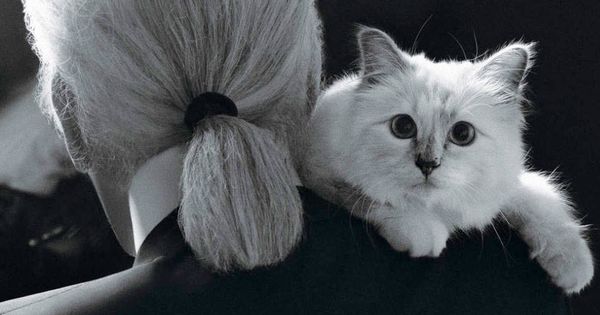 Foto: Choupette y Lagerfeld en una imagen de archivo. (Campaign)
