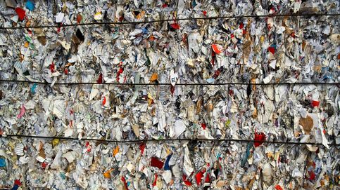 El 'big data' del reciclaje: esta nueva aplicación controla tus residuos
