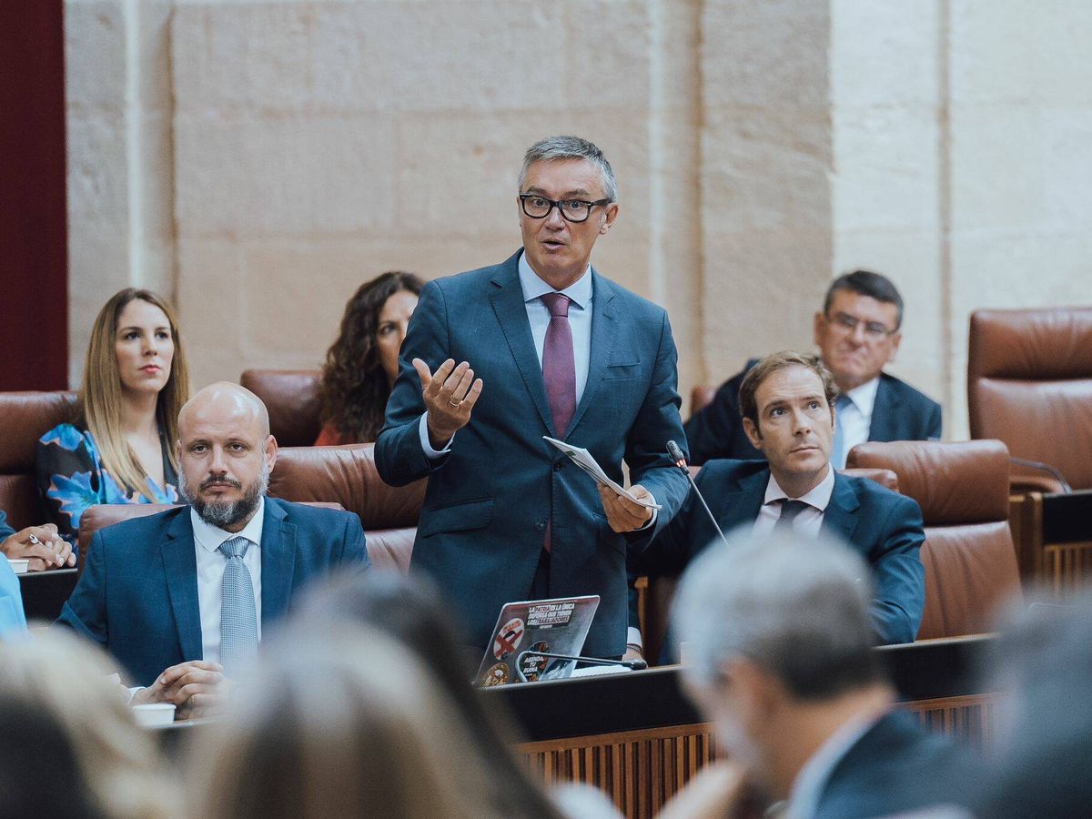 Foto: Manuel Gavira, portavoz de Vox en el Parlamento andaluz, en una sesión plenaria flanqueado por Rodrigo Alonso y Javier Cortés. (Cedida/Vox)