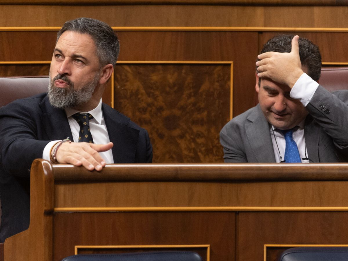 Foto: El líder de Vox, Santiago Abascal, durante un pleno en el Congreso de los Diputados. (Eduardo Parra / Europa Press)