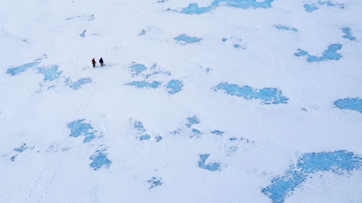 Recupera una cartera perdida hace 53 años en la Antártida