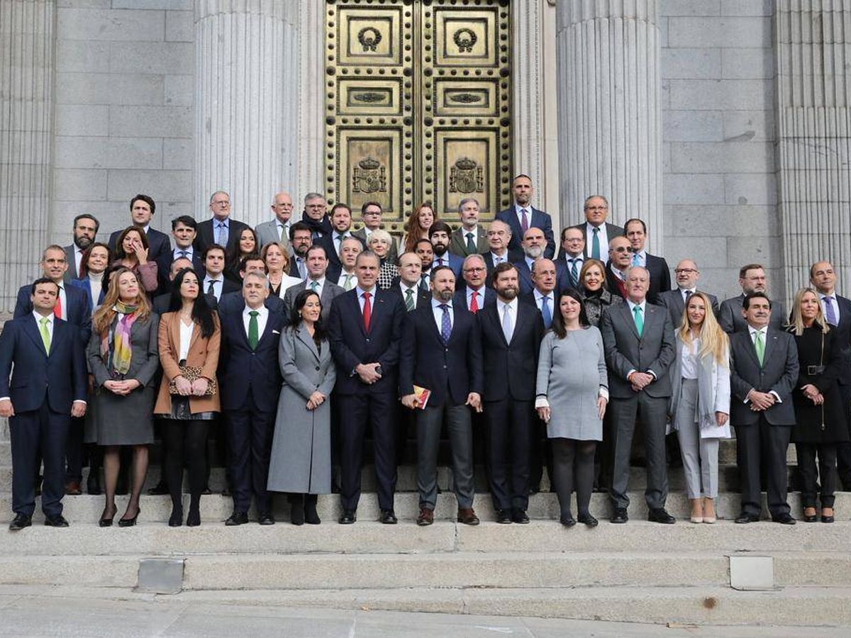 Foto:  Los 52 diputados de Vox en las puertas del Congreso. (Vox)