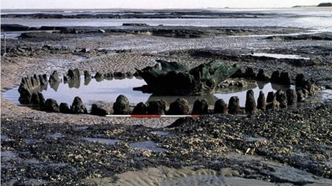 Desentrañan el misterio de Seahenge, un monumento prehistórico de hace 4.000 años