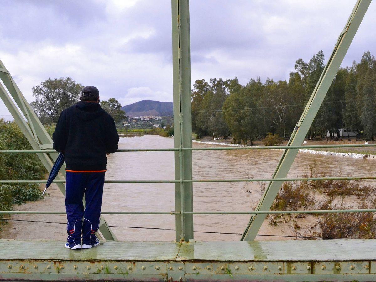 Foto: Un hombre observa la crecida del río Guadalhorce a su paso por Cártama. (Toñi Guerrero)