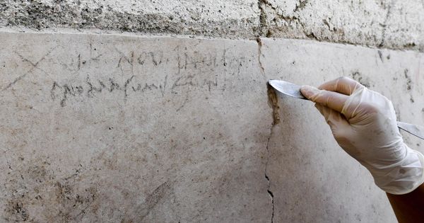 Foto: Encuentran inscripción que prueba que destrucción de pompeya fue en octubre (EFE/Ciro Fusco)