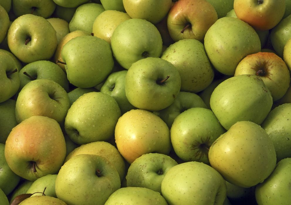 Foto: Las manzanas Golden son perfectas para hornear. (Steve Terrill/Corbis)