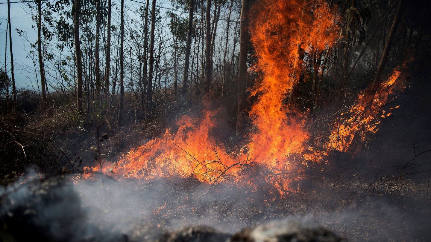 Llamas de un incendio en los montes próximos a la localidad cántabra de Ramales de la Victoria. (EFE)