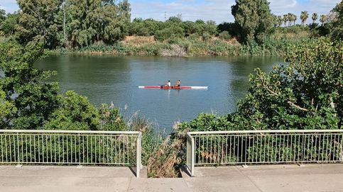 Dos detenidos más por el asesinato de la mujer encontrada en el río Guadalquivir (Sevilla)