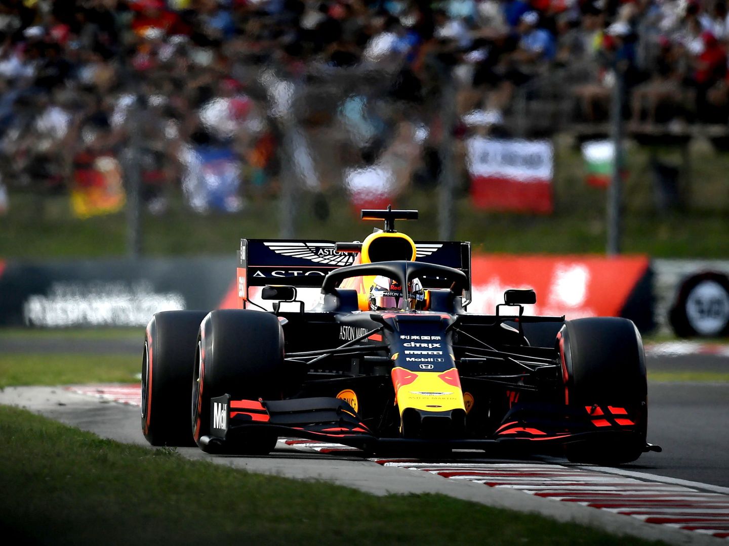 Verstappen al volante de su Red Bull en la clasificación del Gran Premio de Hungría. (EFE)
