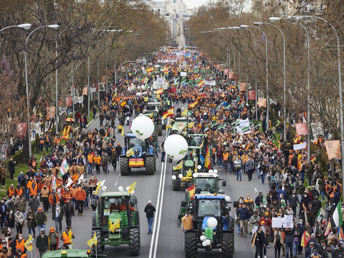 Foto: Manifestación en Madrid por la defensa del campo. (EFE/Luca Piergiovanni)