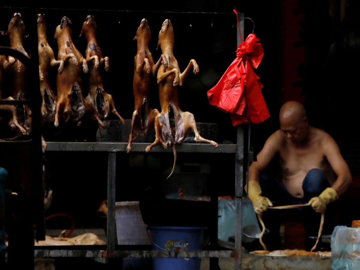 Foto: Pese a la nueva normativa de Pekín, la ciudad de Yulin ha vuelto a celebrar su festival de carne de perro (Reuters/Tyrone Siu)