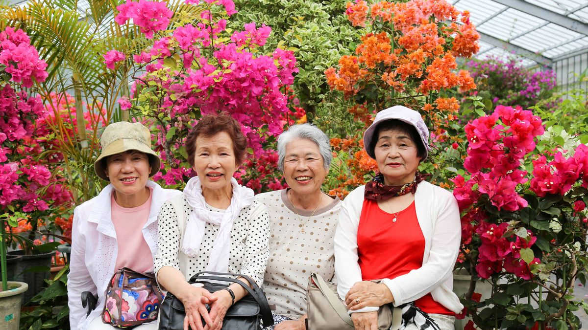 Cuatro reglas japonesas si quieres vivir más de 100 años