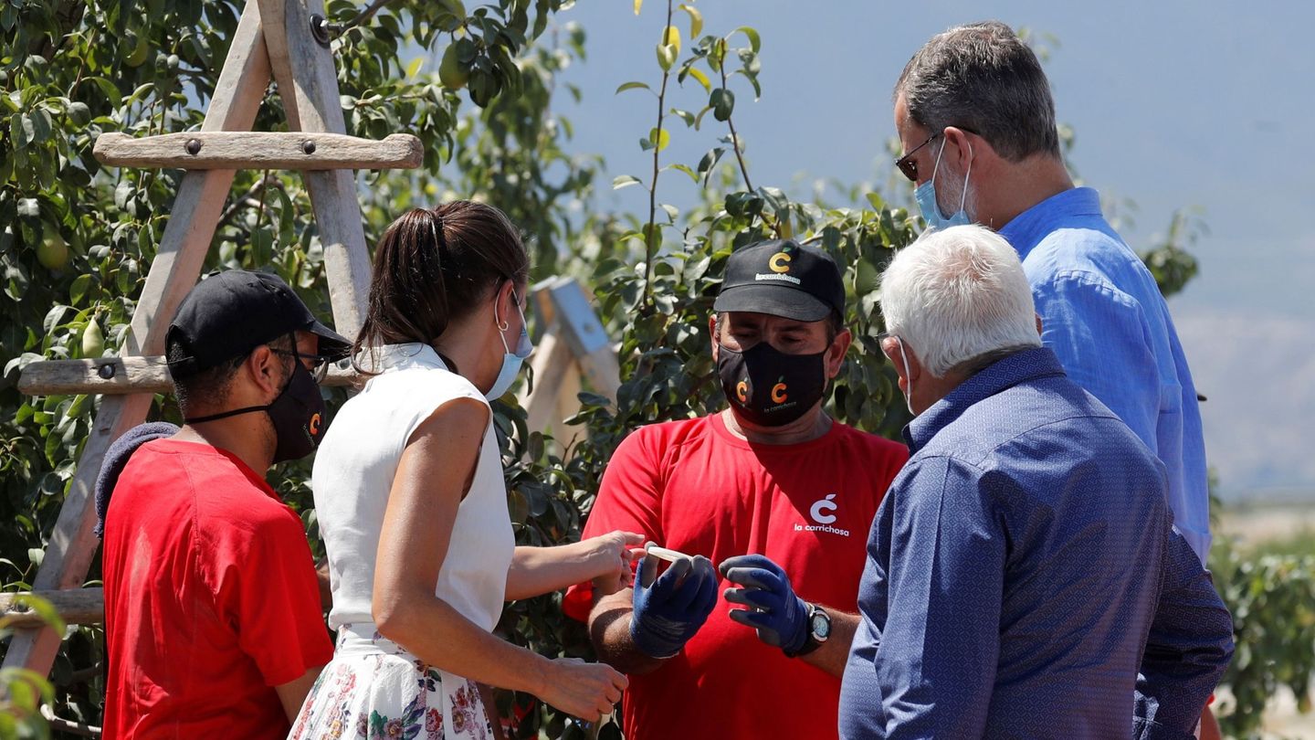 Felipe VI y la reina Letizia durante su visita a la cooperativa de frutas de Cieza. (EFE)