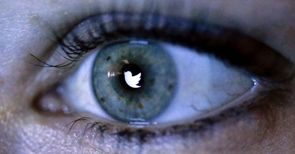 Foto: El logo de Twitter en el ojo de un usuario. (Reuters)
