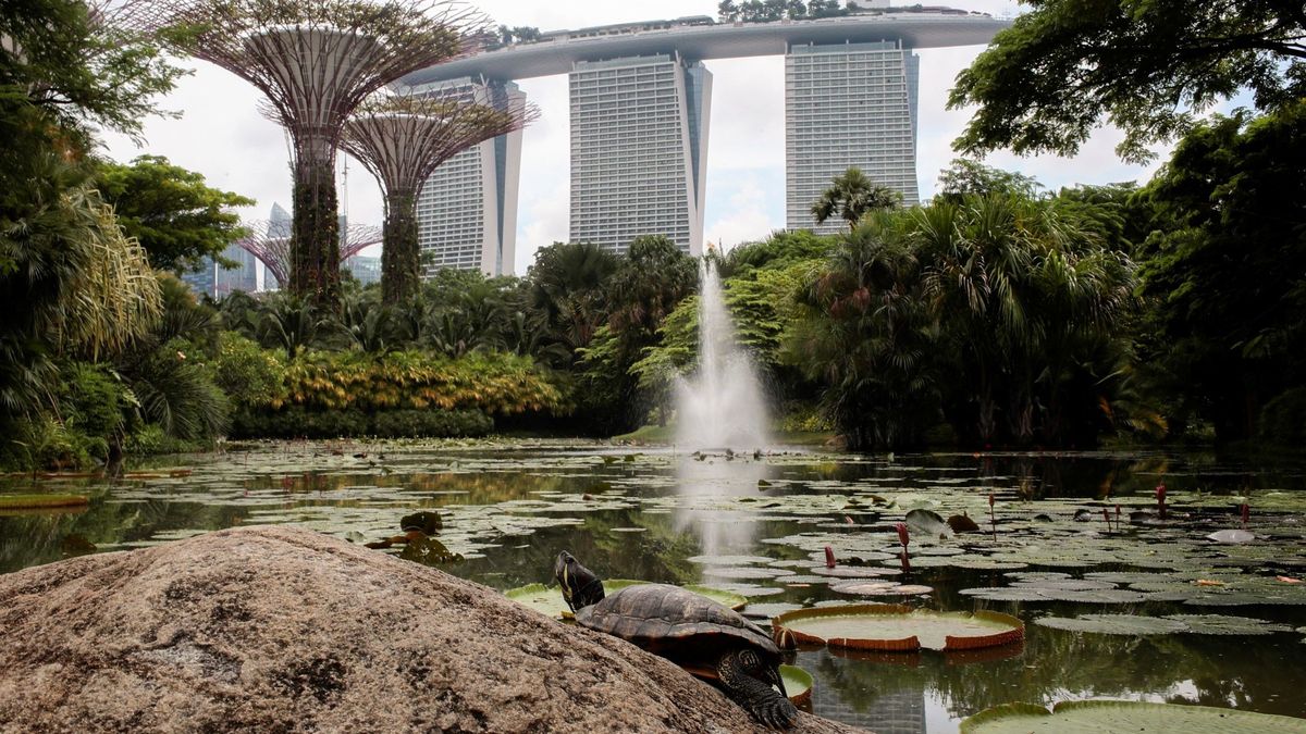 Estos son los 10 parques y jardines más bonitos del mundo