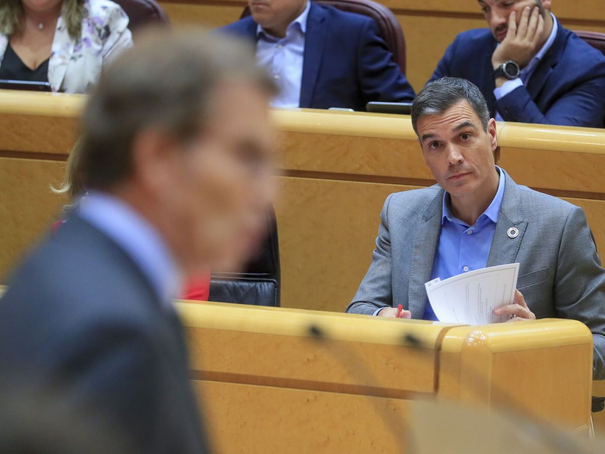 Foto: El presidente del Gobierno, Pedro Sánchez, escucha la intervención del líder del PP, Alberto Núñez Feijóo (i) durante un pleno del Senado. (EFE/Fernando Alvarado)