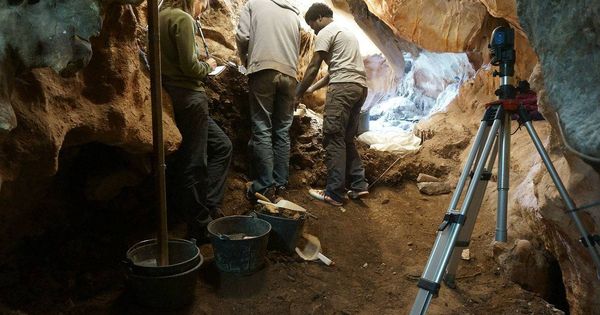 Foto: Interior de la excavación (Instituto Catalán de Paleocología Humana y Evolución Social)