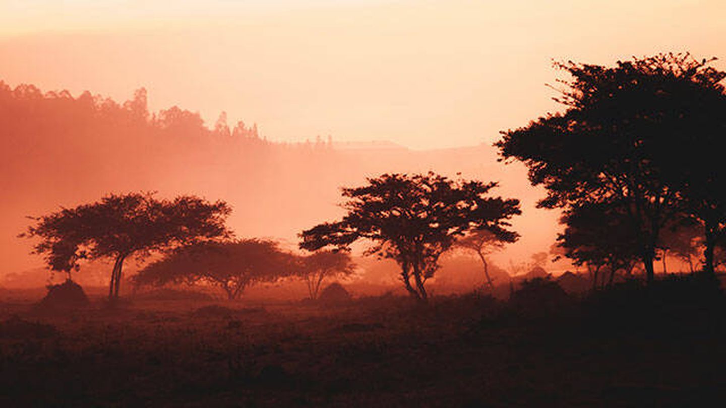 Ruanda aparece como uno de los destinos más seguros del mundo (Maxime Niyomwungeri para Unsplash)