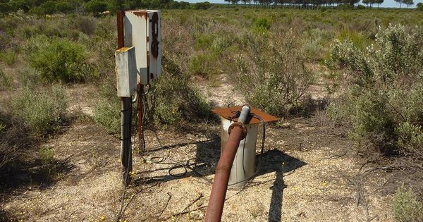 Foto: Sondeo ilegal de agua en Doñana (WWF)
