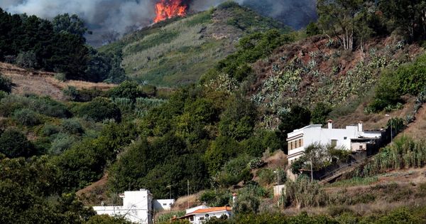 Foto: Vista del incendio forestal que comenzó el sábado en la isla de Gran Canaria. (EFE)