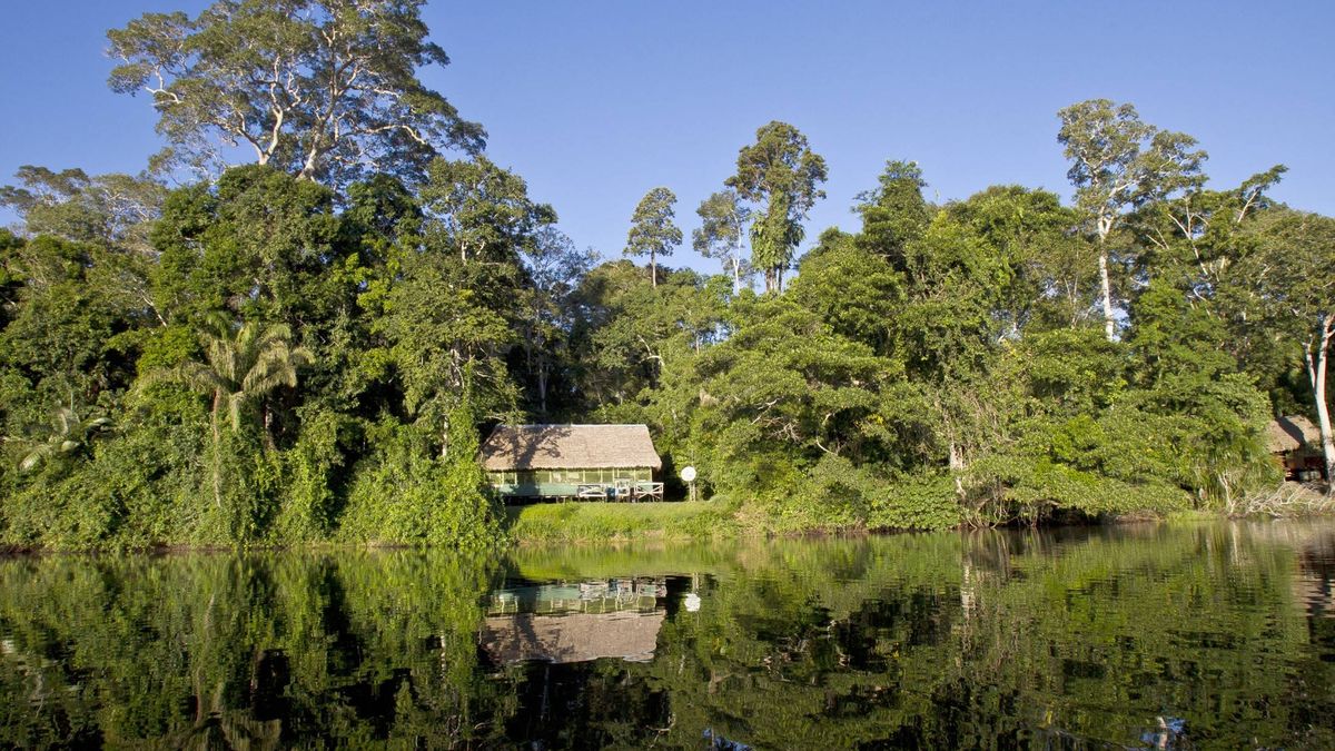Así resiste el lugar más virgen del Amazonas a los devastadores incendios