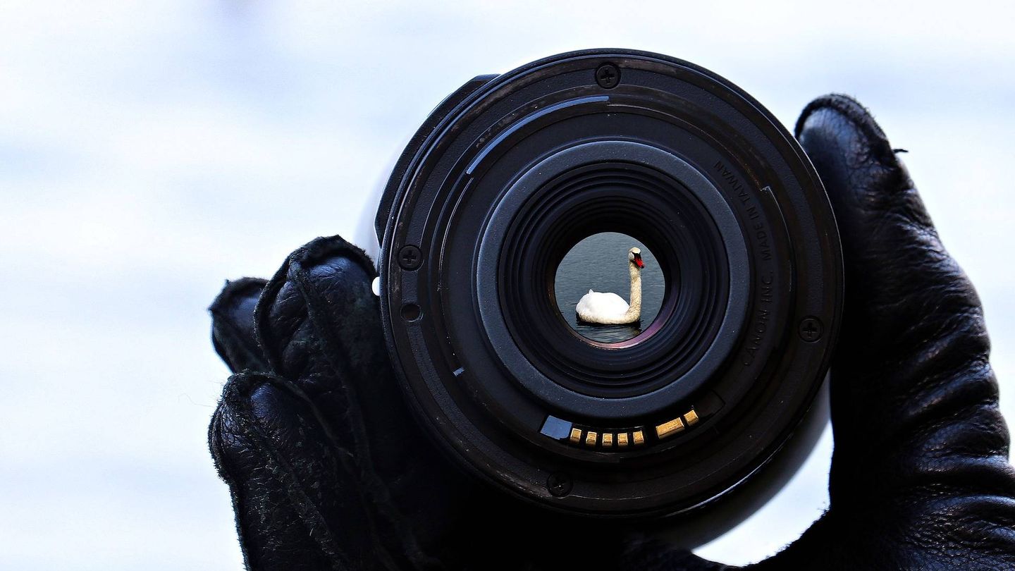 Muchas cámaras traen un objetivo con ellas, pero es recomendable hacerse con alguno otro. (Imagen: Pixabay)