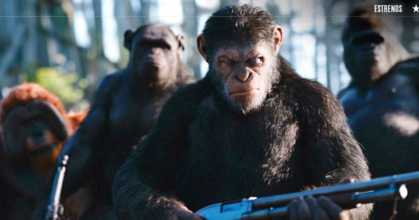 Foto: Fotograma de 'La guerra del planeta de los simios'. (Fox)