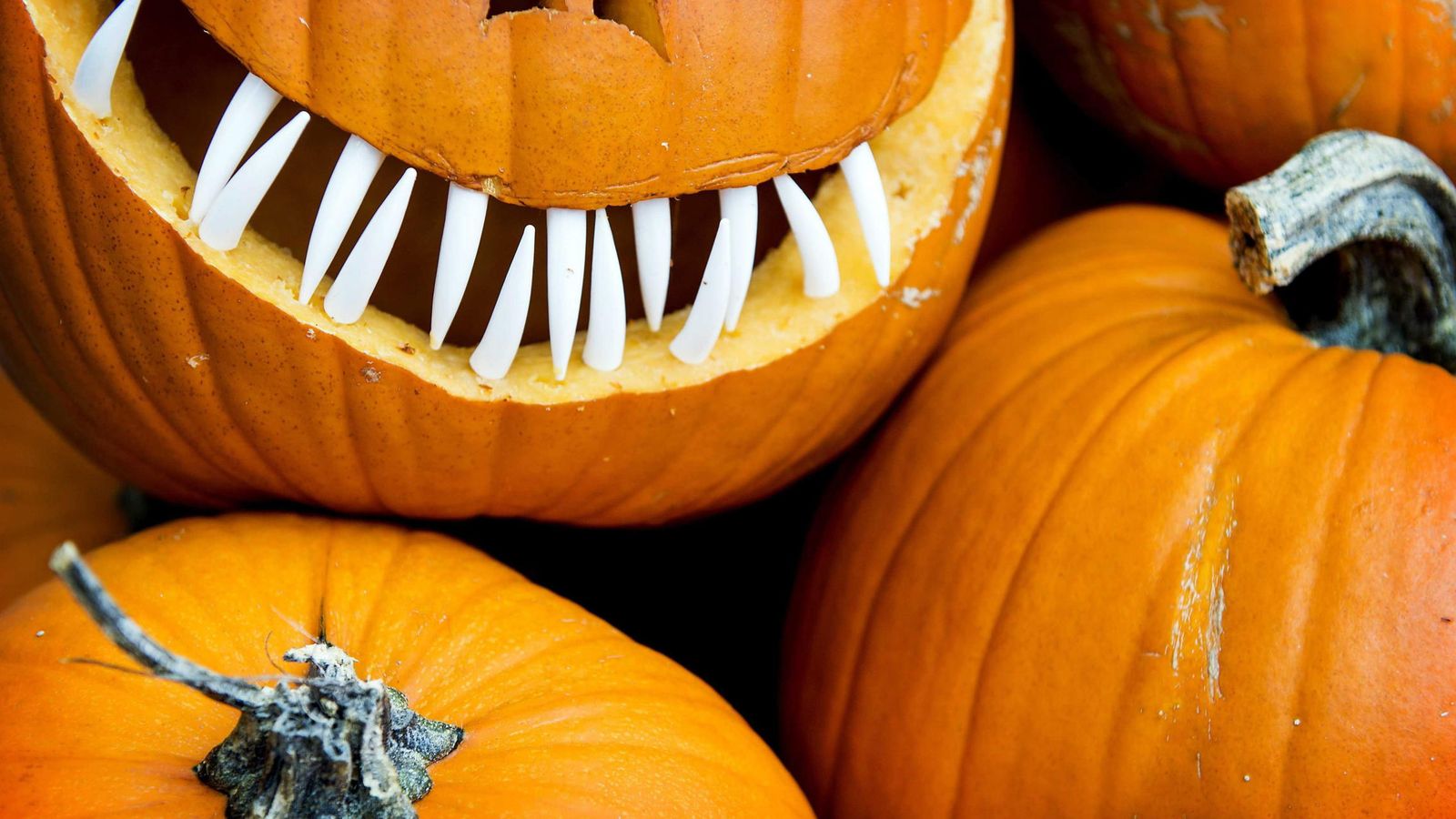 Por qué la calabaza es uno de los símbolos más reconocibles de Halloween?