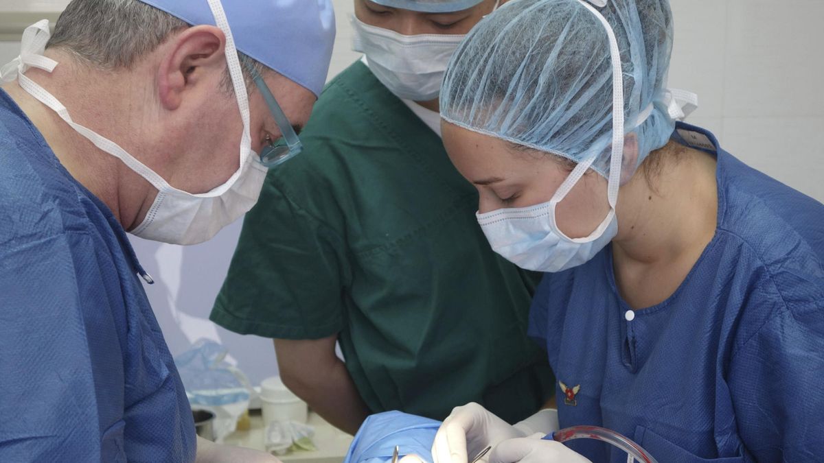 Una nueva técnica quirúrgica permite suturar los vasos del cerebro en 1,5 minutos