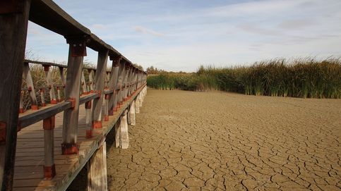Íberos 1 – sequía 0: ¿la única solución es esperar la venida de la lluvia?