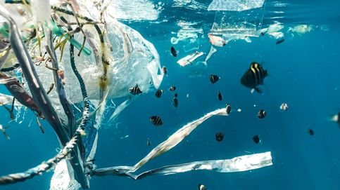 Los plásticos de un solo uso están matando el mar, y la nueva ley no lo remedia