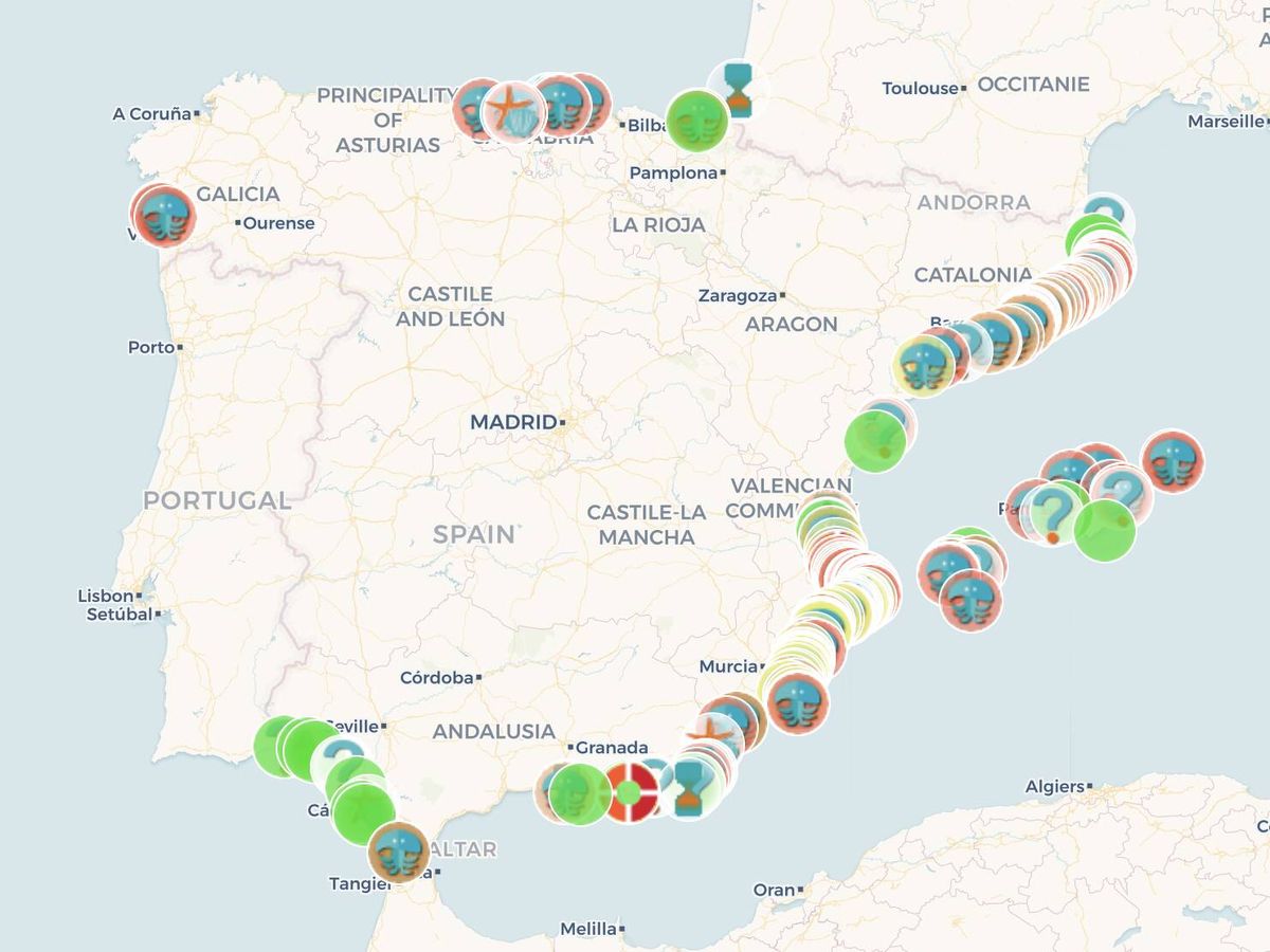 Foto: Así es el mapa de España que muestra la aplicación (MedusApp.net)