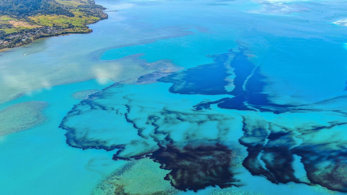  Las Islas Mauricio, teñidas de negro: un barco encallado vierte 1.000t de combustible 