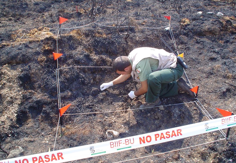 Un agente forestal investiga el origen de un incendio.