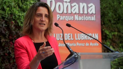 El Parlamento andaluz 'invita' a Ribera a posicionarse sobre los regadíos en Doñana